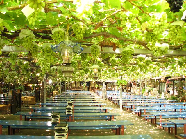 🍇 일고원 (Ichikoen) 이미지 2